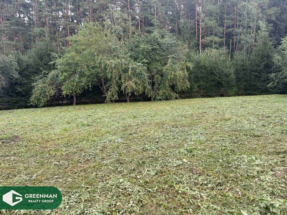 Участок с коммуникациями в д. Околица рядом с лесом! | Агентство недвижимости Greenman Realty Group