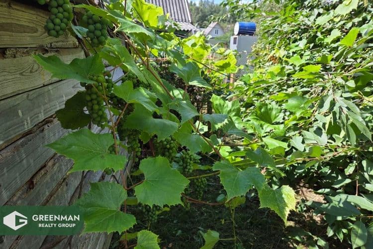 Дача в 25 км от МКАД, Смолевичский район. | Агентство недвижимости Greenman Realty Group