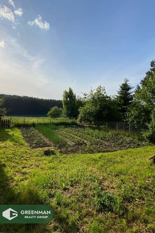 Продажа дома в Могилевской области. | Агентство недвижимости Greenman Realty Group