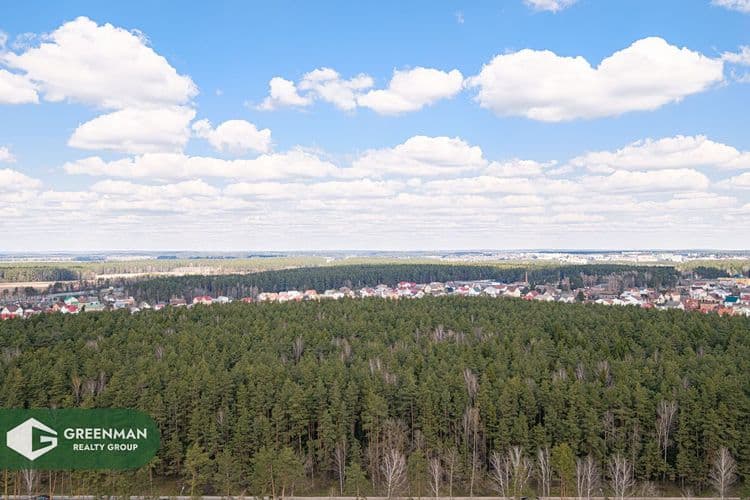Новая Боровая - для тех, кто ценит близость к городу, но предпочитает уединение и природу | Агентство недвижимости Greenman Realty Group