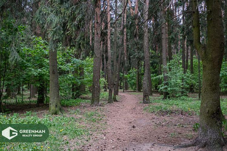 Квартира в зеленом районе Минска | Агентство недвижимости Greenman Realty Group