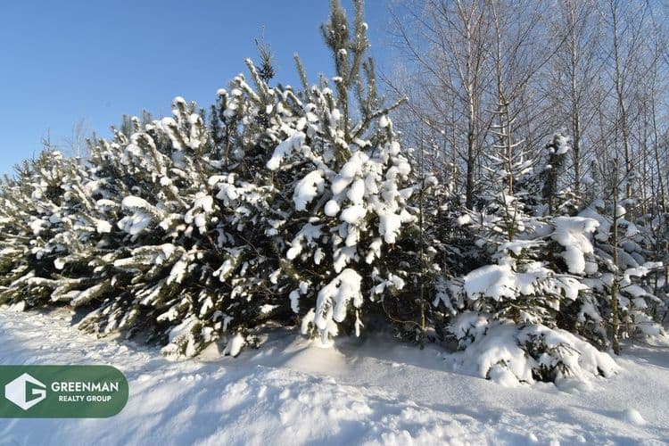 Продается дом на участке 25 соток, 35 км от МКАД, 5 км от г. Смолевичи в д. Черниковщина. | Агентство недвижимости Greenman Realty Group