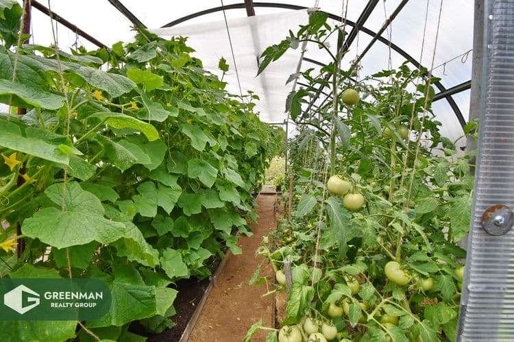 Продается аккуратная дача с гостевым домом и беседкой, с участком 6 соток в СТ «Дальний Остров». | Агентство недвижимости Greenman Realty Group
