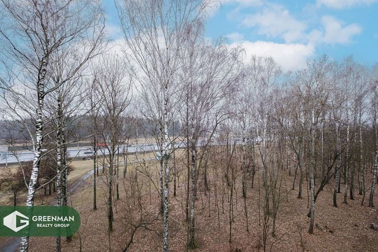 Продается светлая, теплая, очень просторная 1-комнатная квартира. Брикета 38. | Агентство недвижимости Greenman Realty Group