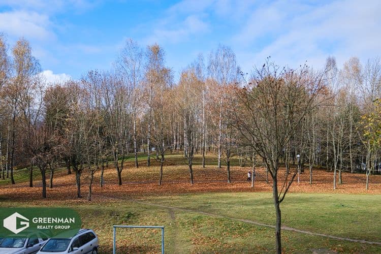 Продаётся 3-комнатная квартира рядом с парком | Агентство недвижимости Greenman Realty Group